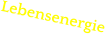 Lebensenergie